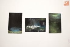 Foto 6 - La Salina y el DA2 acogen las obras galardonadas de los Premios San Marcos