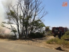 Foto 4 - Un incendio arrasa 4.100 metros cuadrados de matorral y pastos en Pelabravo