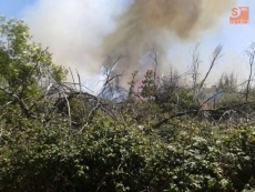 Foto 3 - Un incendio arrasa 4.100 metros cuadrados de matorral y pastos en Pelabravo