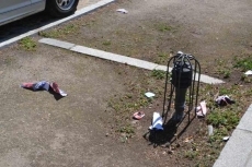 Foto 3 - Los partidos peque&ntilde;os tambi&eacute;n tienen hueco en las calles