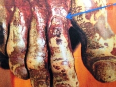 Foto 5 - Proyectan la restauración del Cristo de la Salud "por su mal estado de conservación"