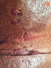 Foto 4 - Proyectan la restauración del Cristo de la Salud "por su mal estado de conservación"