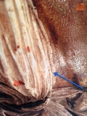 Foto 3 - Proyectan la restauración del Cristo de la Salud "por su mal estado de conservación"