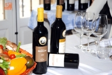 Foto 5 - Emilio Moro, vinos de alta expresi&oacute;n