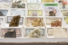 Foto 5 - Salamanca celebra el 'Año de la Cristalografía' con la 'Feria de Minerales'