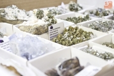 Foto 4 - Salamanca celebra el 'Año de la Cristalografía' con la 'Feria de Minerales'