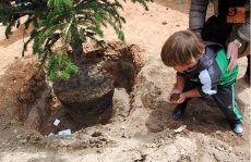 Foto 4 - Los niños del Villar y Macías disfrutan de un cuentacuentos ambiental