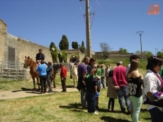 Feria de ganado 2014 / FOTO: Ana Vicente