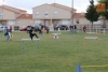 Foto 2 - Jornada de convivencia 'Jugando al atletismo'