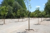 Foto 2 - 1Foto: Repuestos los árboles del parking de La Pesquera que se llevó la crecida