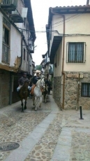 Foto 5 - Una marcha ecuestre unirá el Campo Charro con el corazón de la Sierra