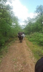 Foto 3 - Una marcha ecuestre unirá el Campo Charro con el corazón de la Sierra