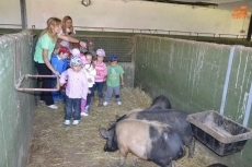 Foto 6 - Una mañana de clase en contacto con la naturaleza