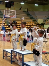 Foto 3 - El Gimnasio Santa Clara logró 9 medallas en el provincial