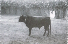 Foto 5 - Nueva edición del festival ‘Emplaza2’