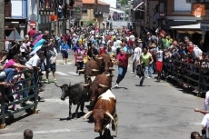 Foto 6 - Festejos taurinos, verbenas y actos religiosos centran ‘los Corpus’ 2014