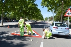 Foto 4 - Arrancan las obras del gran ramal norte del carril bici