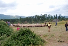 Foto 6 - En el camino nos encontraremos