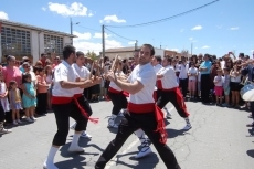 Foto 5 - Multitudinaria procesión en honor a la Virgen de la Misericordia
