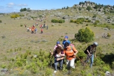 Foto 6 - Multitudinaria subida a Piquitos