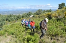 Foto 4 - Multitudinaria subida a Piquitos