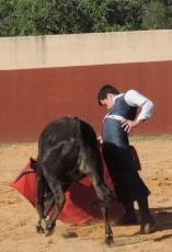 Foto 6 - Guillermo Valencia prepara en el campo la novillada de La Fuente de San Esteban