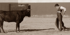 Foto 4 - Guillermo Valencia prepara en el campo la novillada de La Fuente de San Esteban