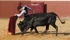 Foto 3 - Guillermo Valencia prepara en el campo la novillada de La Fuente de San Esteban