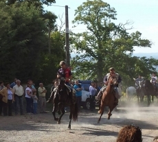 Exihibiciones entre jinetes/FOTO: Béjar a Caballo