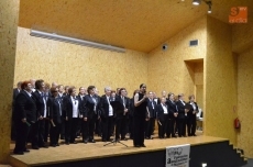 Foto 4 - Celebrada la &uacute;ltima actuaci&oacute;n de &lsquo;Juntos y a lo grande&rsquo;