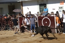 Foto 5 - Entretenimiento para todas las edades en una calurosísima jornada