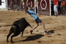 Foto 4 - Entretenimiento para todas las edades en una calurosísima jornada