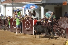 Foto 3 - Entretenimiento para todas las edades en una calurosísima jornada