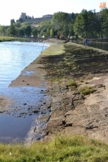 Foto 6 - La Pesquera se convierte en punto de peregrinación a lo largo del lunes