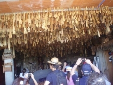 Foto 3 - Un día de convivencia y hermandad en la Sierra