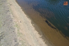 Foto 5 - Isidro Lázaro visita las obras de dragado de La Pesquera