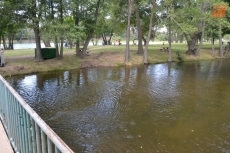 Foto 4 - Colocado un nuevo puente a la par que concluye el dragado