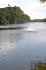 Foto 5 - Los escolares empiezan a disfrutar de sus vacaciones desde el minuto 1