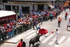 Foto 6 - Las peñas animan el primer encierro con novillos de Martín Cillero