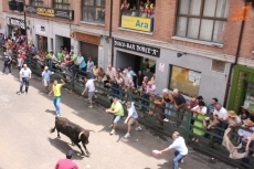 Foto 5 - Las peñas animan el primer encierro con novillos de Martín Cillero