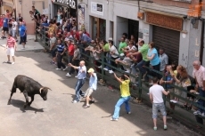 Foto 4 - Las peñas animan el primer encierro con novillos de Martín Cillero