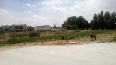 Foto 3 - El Ayuntamiento quiere facilitar suelo para fijar población