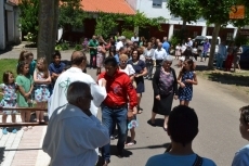 Foto 3 - El patrón de Sanjuanejo procesiona acompañado de numerosos niños