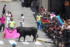 Foto 6 - Los novillos de Hermanos Asensio siembran de emoción el segundo encierro del Corpus
