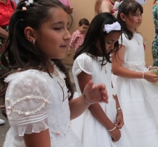 Foto 5 - Incienso, tomillo y pétalos de rosas en honor al Señor