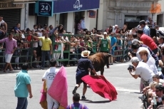 Foto 4 - Los novillos de la ganadería de Herreros ponen fin a los Corpus