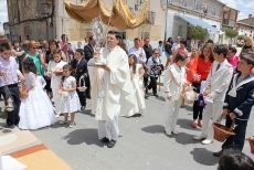 Foto 5 - Una alfombra de pétalos de flores cubre los altares del Corpus