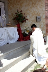 Foto 3 - Una alfombra de pétalos de flores cubre los altares del Corpus