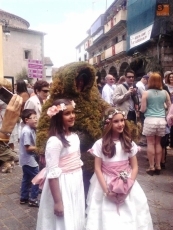 Foto 6 - La procesión de Los Hombres de Musgo atrae a gran número de turistas