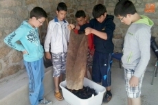 Foto 6 - Una gran paella de 500 raciones pone fin a las fiestas del Corpus